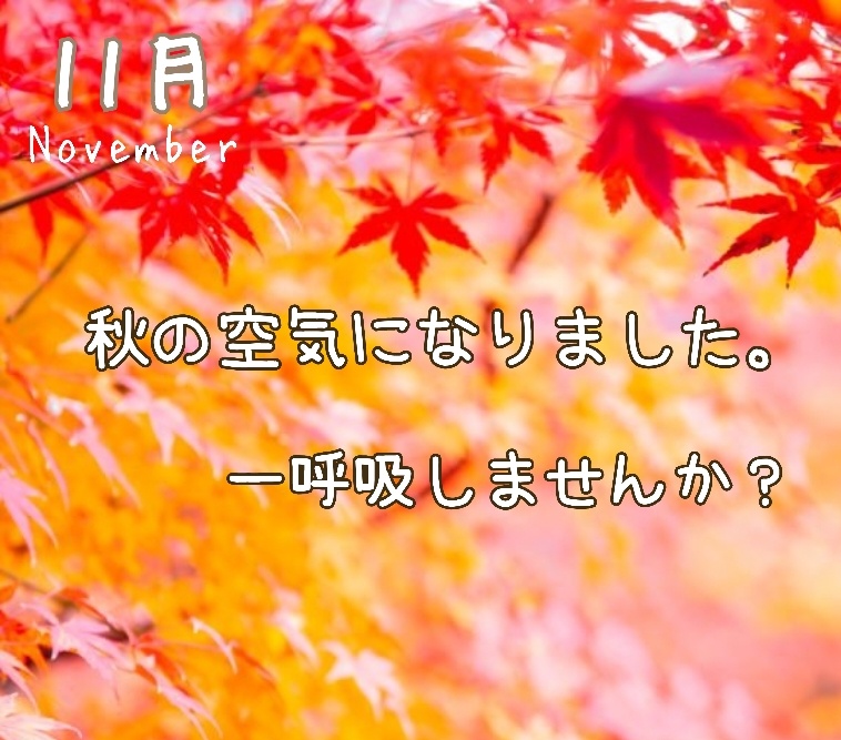 なんか不調。それって自律神経のみだれ❓①